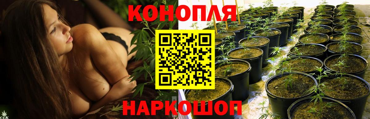 Шишки марихуана THC 21% Шарыпово